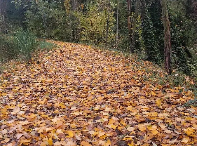 Casa Juliana Turismo Alloggio per agriturismo Gabasa